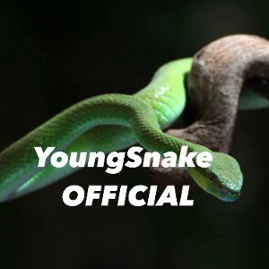 NAVICELLA(prod.67ghost)