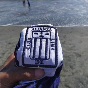 todo saldrá bien