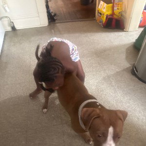 Roger DaK ft Boov wit da stick