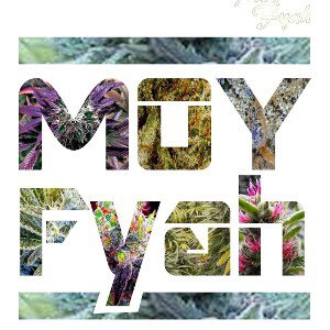 Moy Fyah — Enciende La Ganja Remix