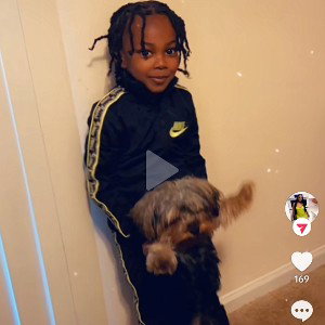 my dog died