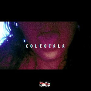 C O L E G I A L A 