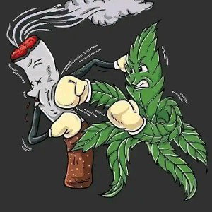 Marijuana 