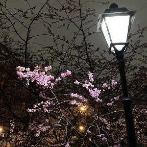 нет контакта (
