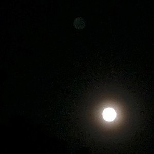 terapi