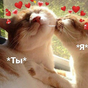 Даже о моём любимом фильме...
