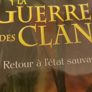 Dans la nuit, les étoiles brillent, clans divisés,  