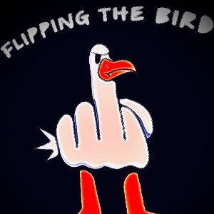 Bird Flock Flip