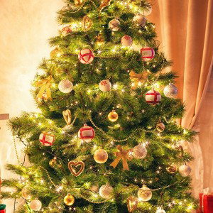 Christmas time 