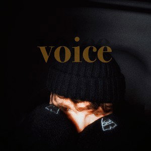 voice