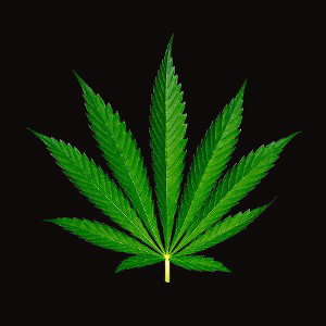 Higher