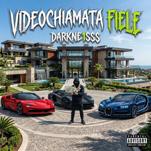 Videochiamata Fiele