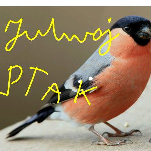 ptak