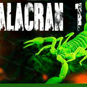Alacrán