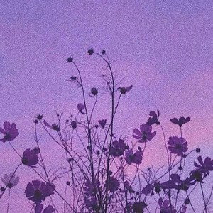 Blume 