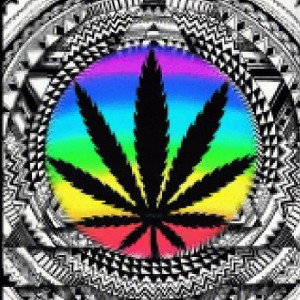 underground freestyle 