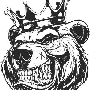 RamboGrizzly-(Don’t forget your bag)