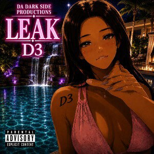 D3 - leak 