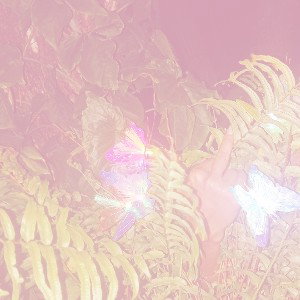 Hood Toons (Bass Boost)