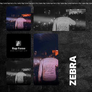 zebra 