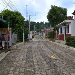 orgullo sv x la