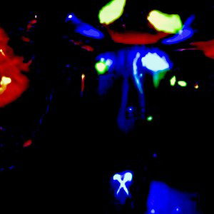///^/// GREENLIGHT shines BRIGHT \\\^\\\