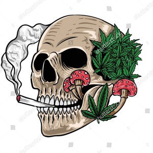 are those drugs hittin?(high spy)