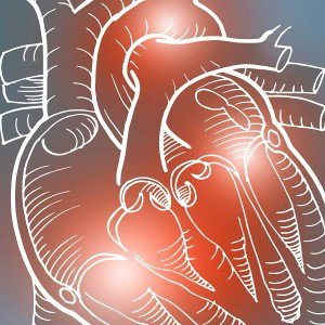 Cardiac ( warning )