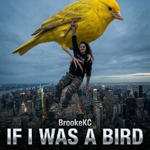 iF i Was a BiRD