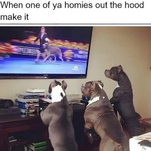 "Out Tha Hood"