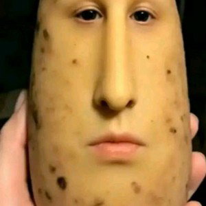 Муха диз