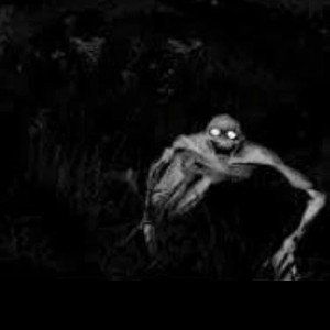 SKINWALKER