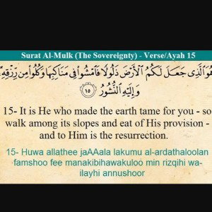  Surah Al Mulk