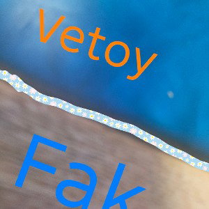 Vetoy Fak