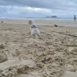 Direitos Humanos