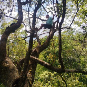 climbing 