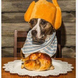 for this thank giving 