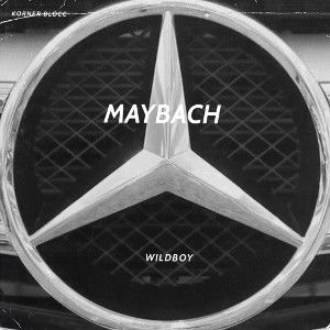 MAYBACH -wildboy