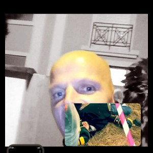 Ich Der Hofnarr.