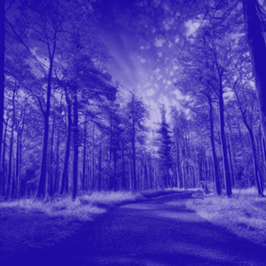dear Aubree  (Slowed + Reverb)
