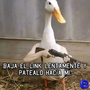alerta