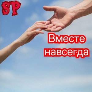 SP - Вместе навсегда (2015)