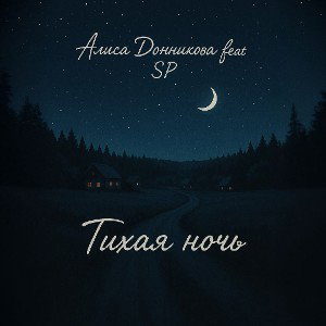 Алиса Донникова feat SP - Тихая ночь