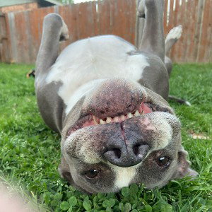 rip Sadie 
