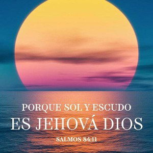Te amo Jesús 