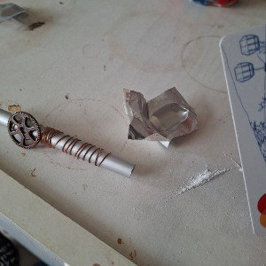 lax toxo diez1