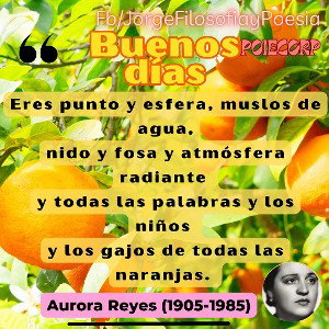 ♾️🌌Interminables🔮🎭