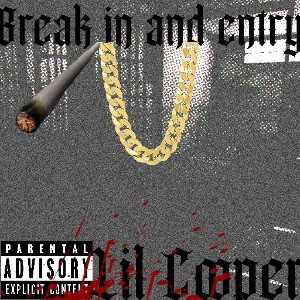 break in and entry 