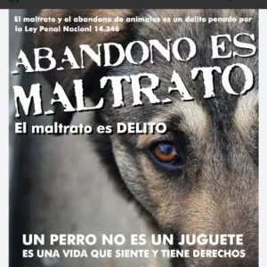 no al maltrato animal 