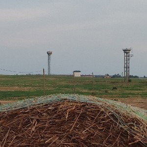 Накрыло что-то..